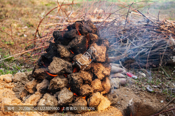 泥窯