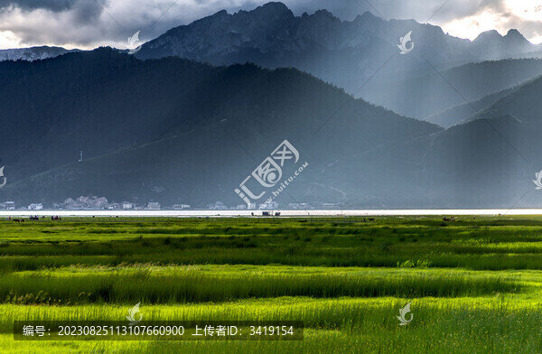 靜靜的草原