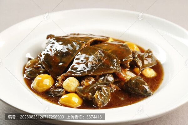 醬燒甲魚