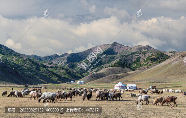 天山牧場