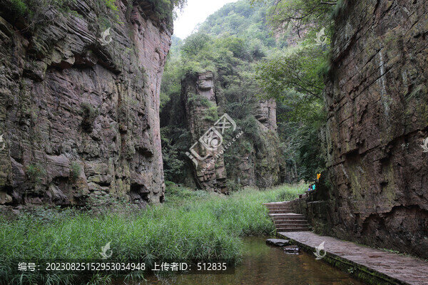 龍?zhí)洞髰{谷