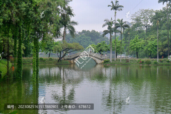 公園景觀湖景