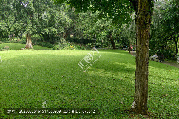公園景觀草坪
