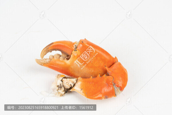 蟹鉗