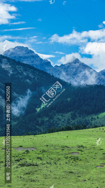 麗江玉龍雪山牦牛坪風光