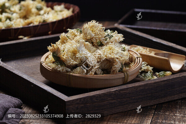 菊花
