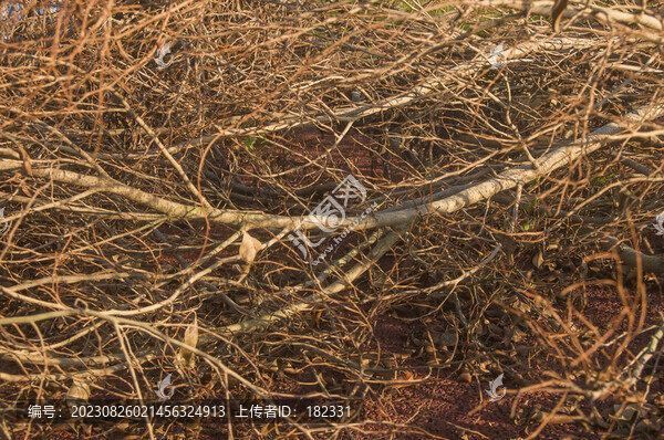 枯枝迷彩素材