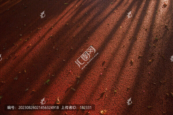 地面光影