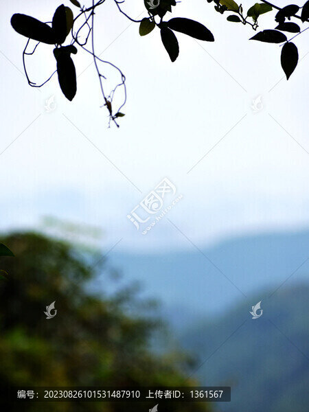 青山