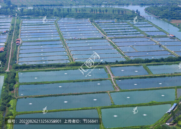 紹興海涂魚塘航拍