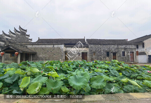 走馬塘