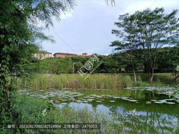松山湖美景