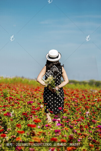 花海美女