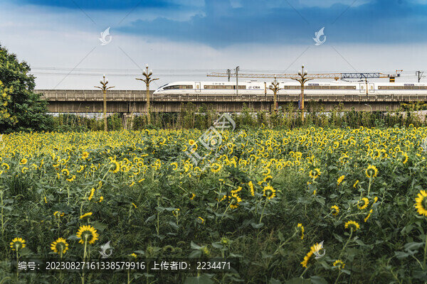 奔馳的動(dòng)車