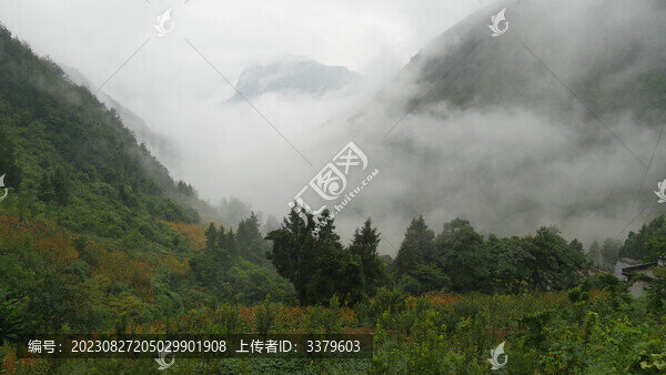 雨后云霧繚繞美不勝收