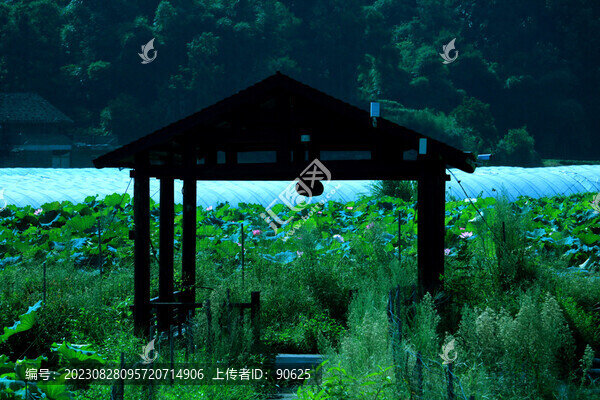荷花亭