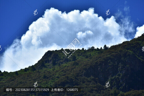 西藏林芝
