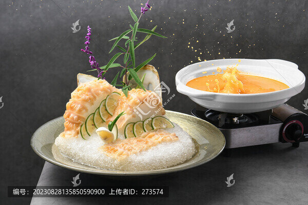 象拔蚌