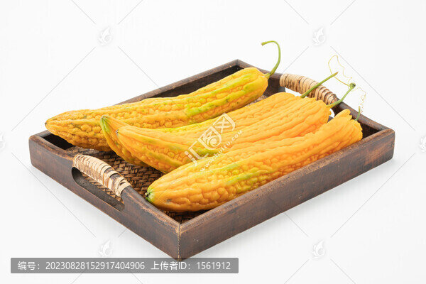 成熟了的苦瓜
