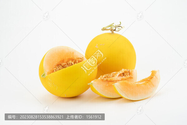 民勤蜜瓜