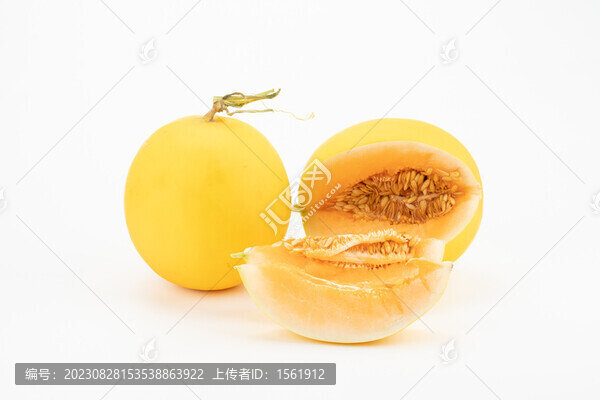 民勤蜜瓜