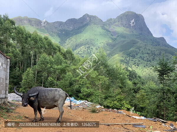 廣西賓陽(yáng)大圣山