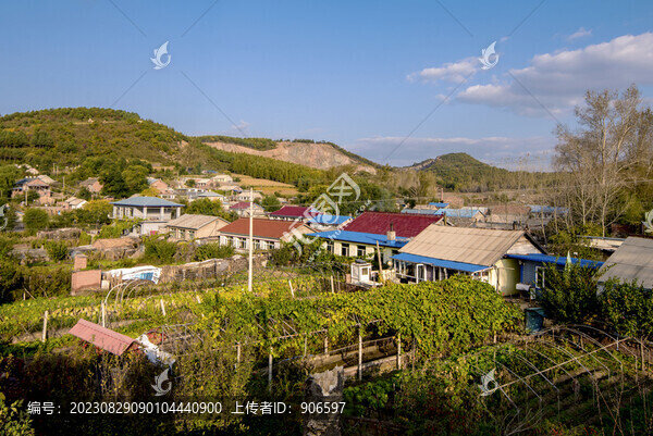 東北新農村