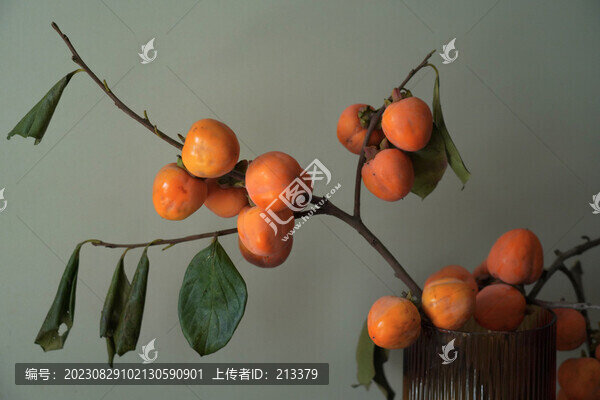 柿子