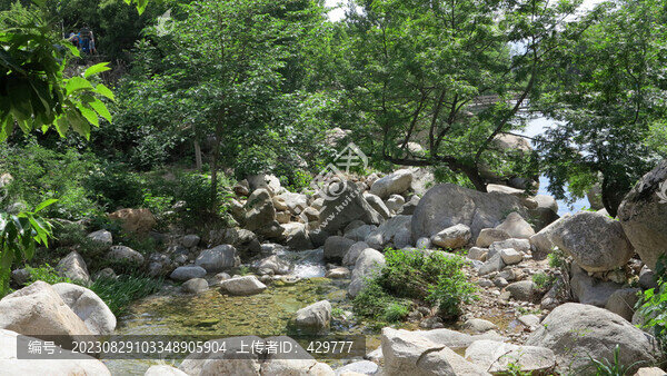 山青青水清清