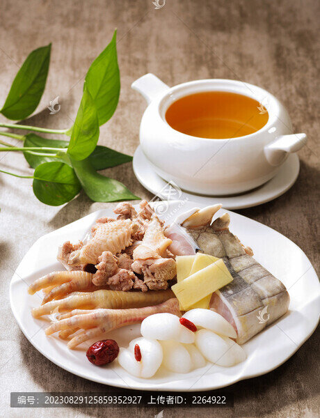 海底椰燉鱷魚