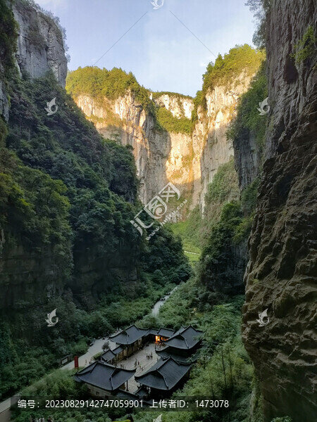 滿(mǎn)城盡帶黃金甲