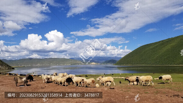 納帕海