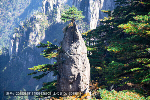 安徽黃山風景區(qū)