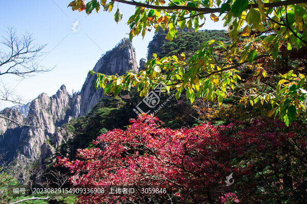 安徽黃山風(fēng)景區(qū)