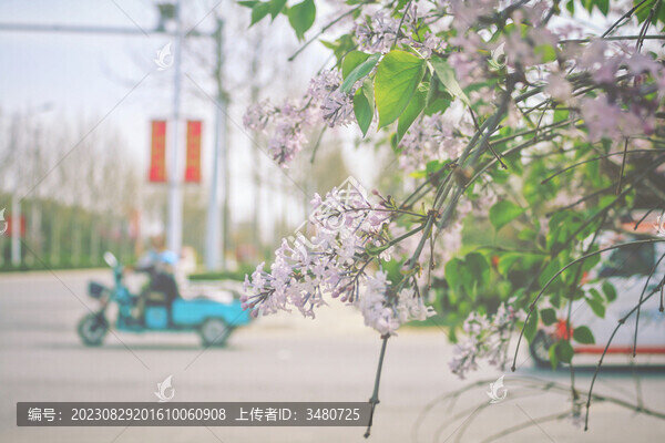路邊