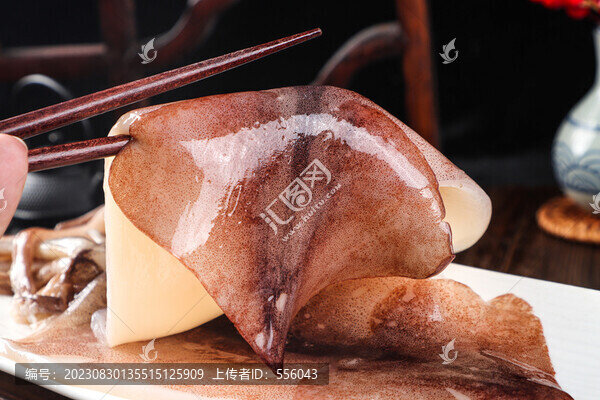 深海魷魚(yú)