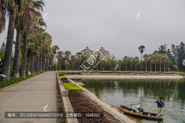 廈門植物園萬(wàn)石湖邊的路與樹(shù)