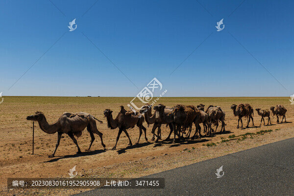內(nèi)蒙無(wú)人區(qū)沙漠公路