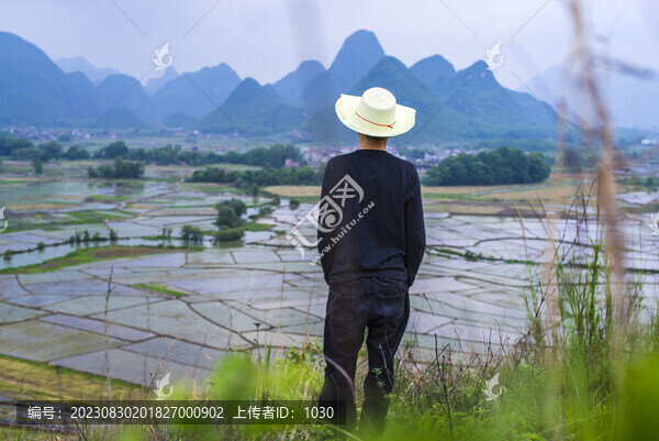 農(nóng)民土地田園