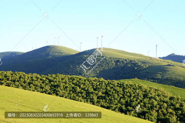 大自然草原