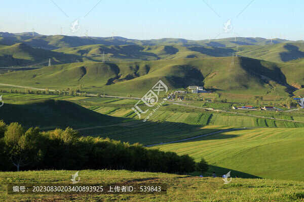 草原風(fēng)光