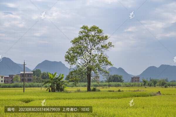 田園風光