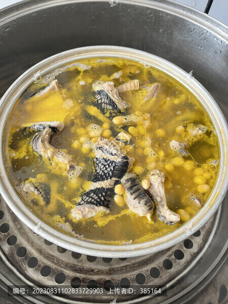 黃豆蛇肉湯