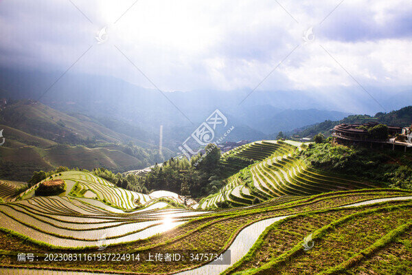 龍脊梯田