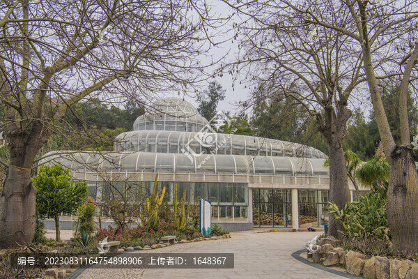 廈門市仙人掌科植物展覽館-匯圖網(wǎng) www.fosd68.com 廈門市仙人掌科植物展覽館