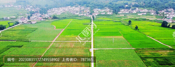 航拍土地耕地最美農(nóng)村
