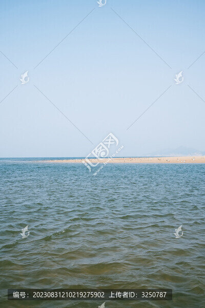 海洋