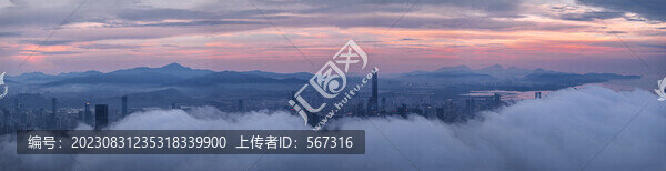 福田中心區(qū)全景圖