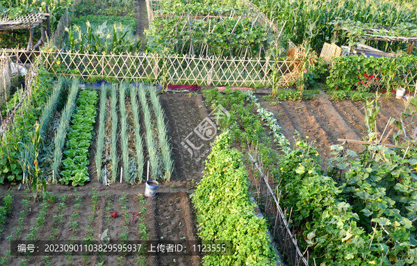 小菜園