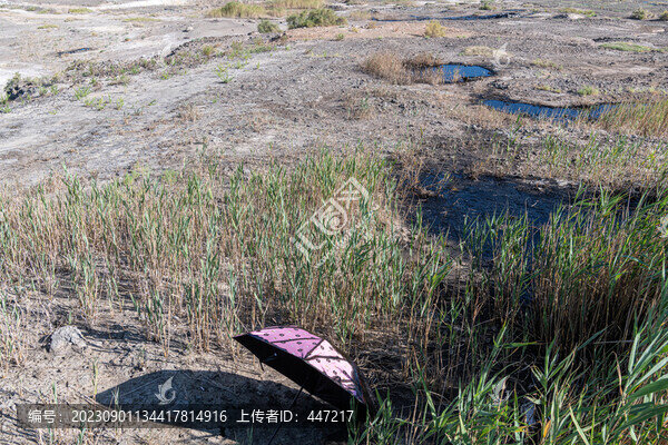 石油地質(zhì)現(xiàn)象